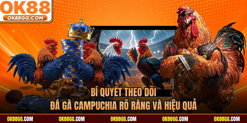 Bí quyết theo dõi đá gà Campuchia rõ ràng và hiệu quả
