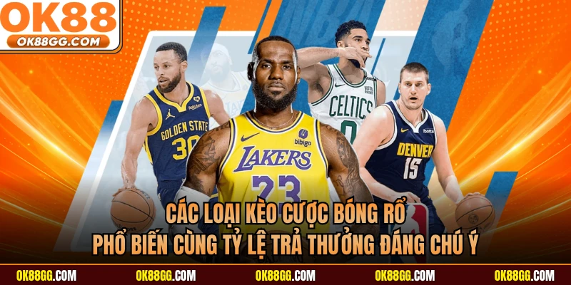 Các loại kèo cược bóng rổ phổ biến cùng tỷ lệ trả thưởng đáng chú ý