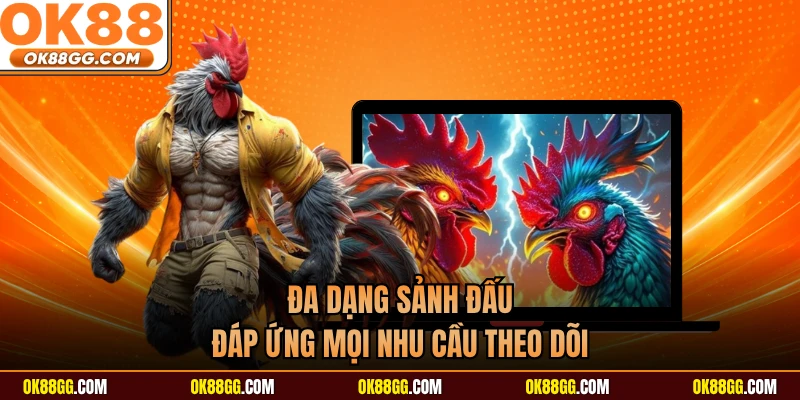Đa dạng sảnh đấu đáp ứng mọi nhu cầu theo dõi