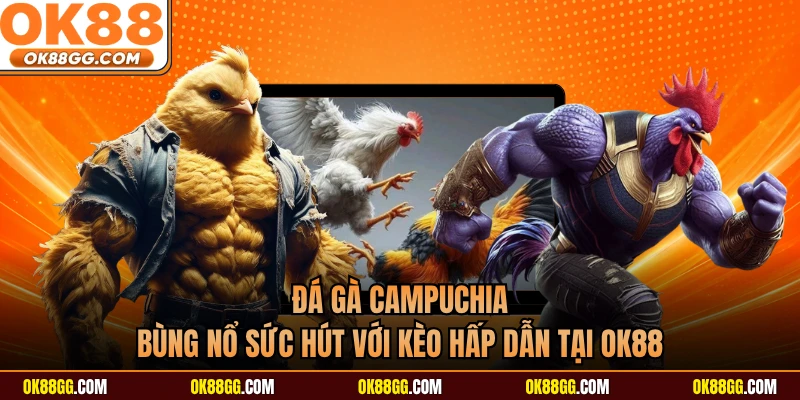 Đá Gà Campuchia - Bùng Nổ Sức Hút Với Kèo Hấp Dẫn Tại OK88