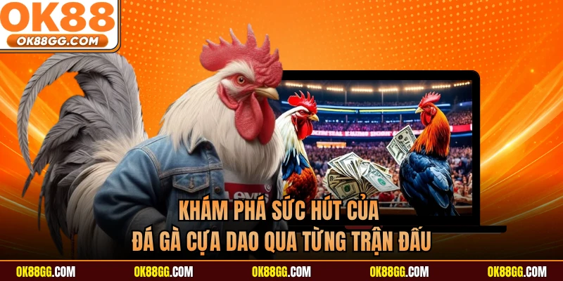 Khám phá sức hút của đá gà cựa dao qua từng trận đấu