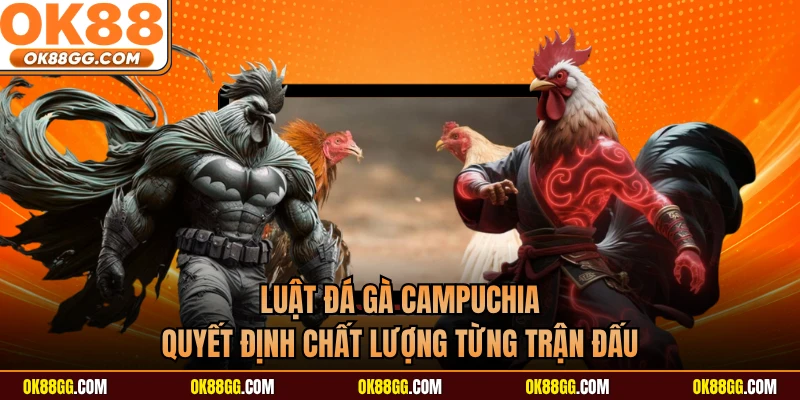 Luật đá gà Campuchia quyết định chất lượng từng trận đấu
