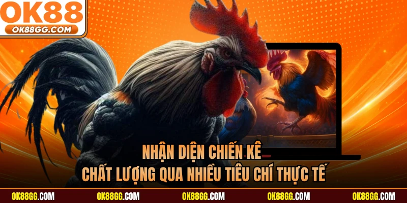 Nhận diện chiến kê chất lượng qua nhiều tiêu chí thực tế
