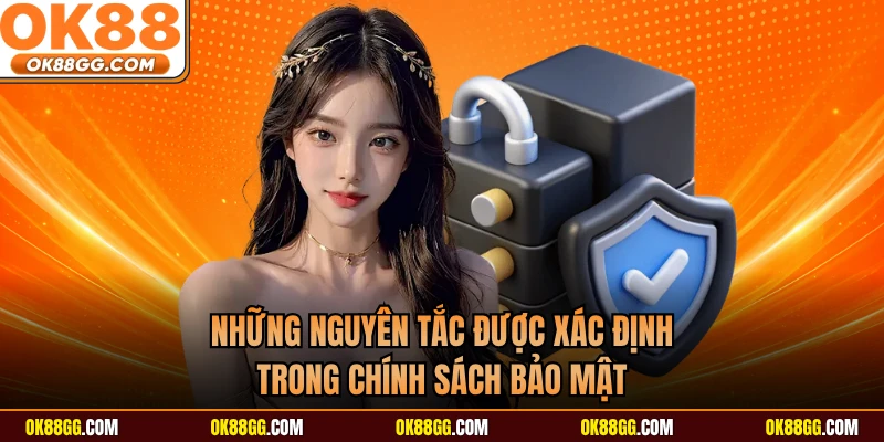 Những nguyên tắc được xác định trong chính sách bảo mật